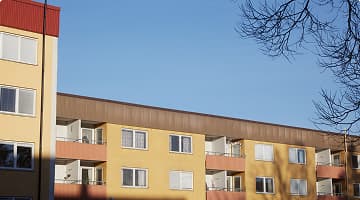 Norsk organisasjonsnummer